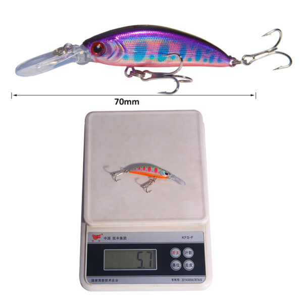 Simulated Minnow Bass Lure