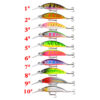 Simulated Minnow Bass Lure